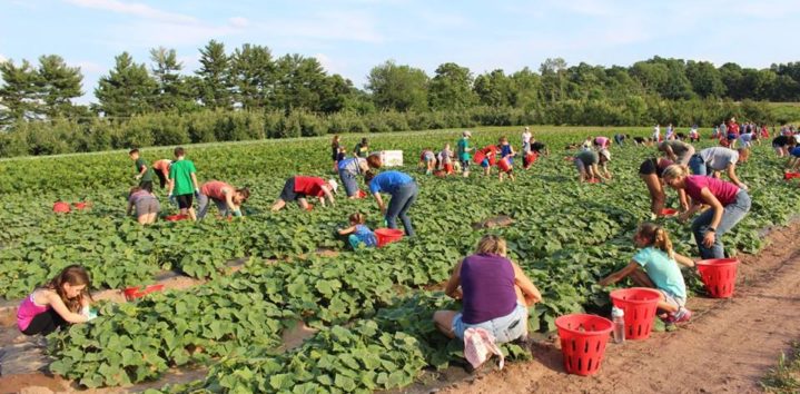Fresh Produce Volunteering | New Jersey Food Volunteers | America's
